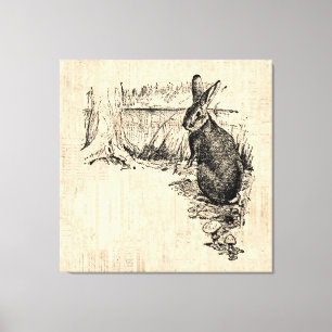 Vintage Rabbit Illustrated Bunny Art Canvas Print