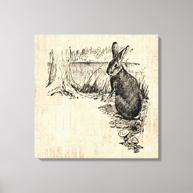 Vintage Rabbit Illustrated Bunny Art Canvas Print (Front)