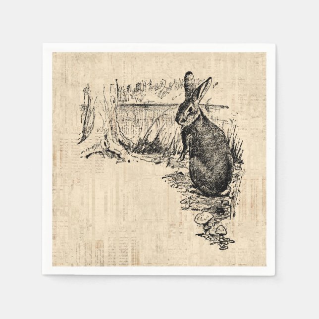 Vintage Rabbit Illustrated Bunny Art Napkin (Front)