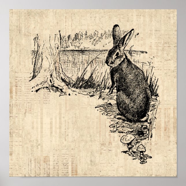Vintage Rabbit Illustrated Bunny Art Poster (Front)