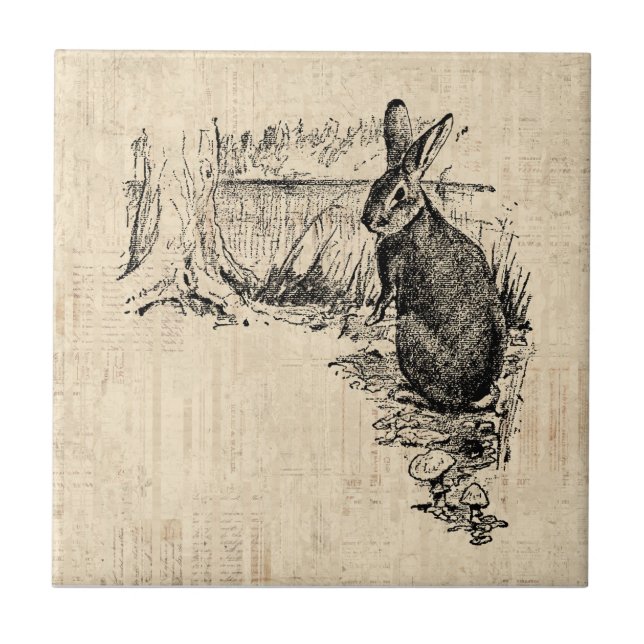 Vintage Rabbit Illustrated Bunny Art Tile (Front)