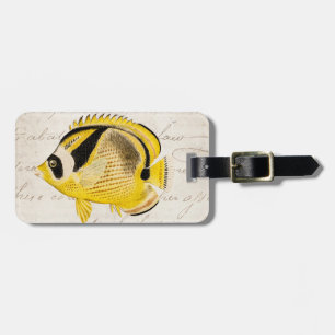 Vintage Raccoon Butterfly Fish - Antique Hawaiian Luggage Tag