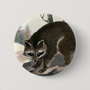 Vintage Raccoon, Wild Animal Forest Creatures 2 Inch Round Button