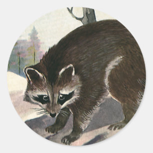 Vintage Raccoon, Wild Animal Forest Creatures Classic Round Sticker