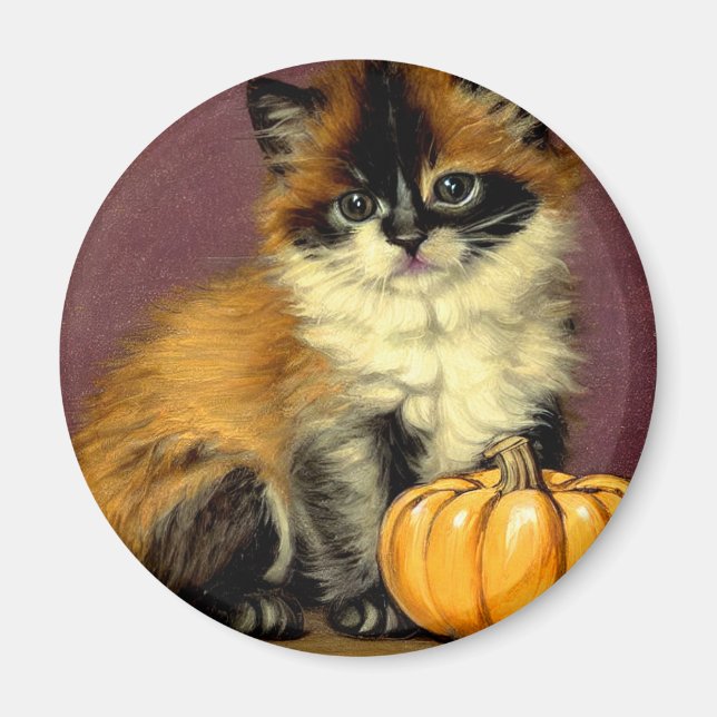 Vintage Ragdoll Halloween Cat Magnet (Front)