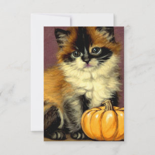 Vintage Ragdoll Halloween Cat RSVP Card