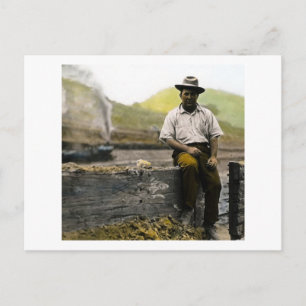 Vintage Railroad Hobo Postcard