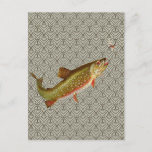 Vintage Rainbow Trout Fly Fishing Postcard