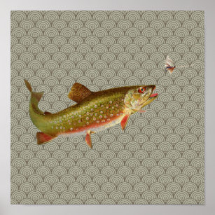 Vintage rainbow trout fly fishing poster
