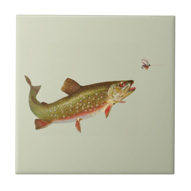 Vintage Rainbow Trout Fly Fishing Tile (Front)