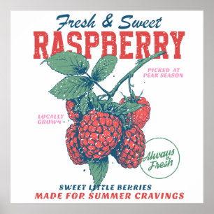 Vintage Raspberry Fresh Sweet Berries Kitchen Poster