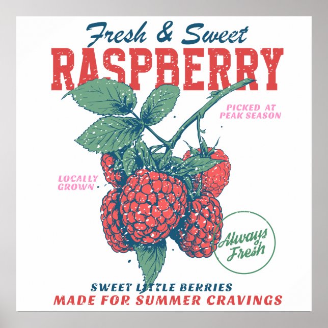 Vintage Raspberry Fresh Sweet Berries Kitchen Poster (Front)