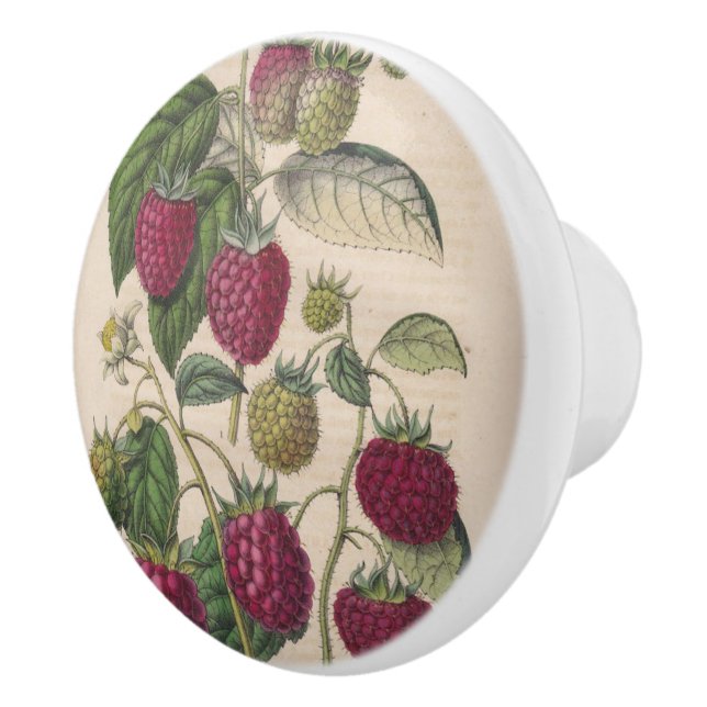 Vintage Raspberry Fruit Ceramic Knob (Right)