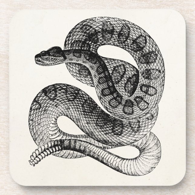 Vintage Rattlesnake Reptile Snake Template Coaster (Front)