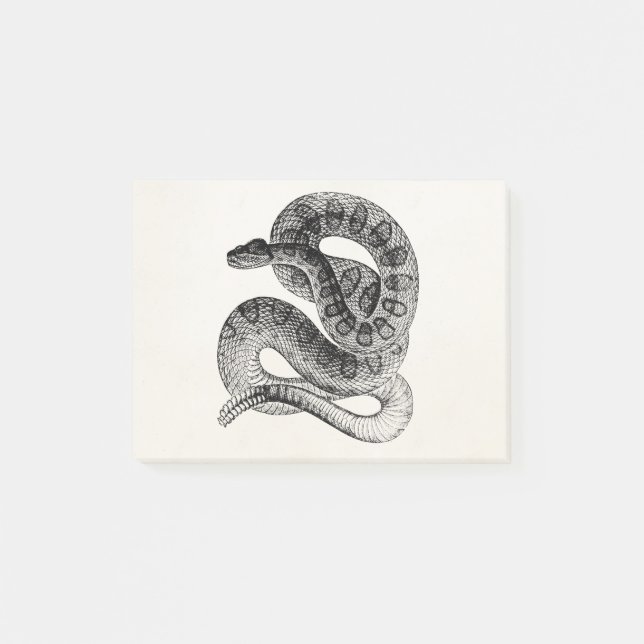 Vintage Rattlesnake Reptile Snake Template Post-it Notes (Front)