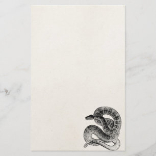Vintage Rattlesnake Reptile Snake Template Stationery