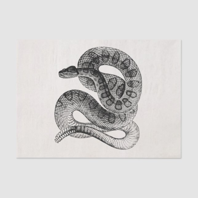 Vintage Rattlesnake Reptile Snake Template Tissue Paper (Front)