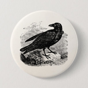 Vintage Raven Black Bird Crow Personalized Birds 3 Inch Round Button