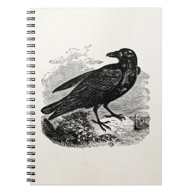 Vintage Raven Black Bird Crow Personalized Birds Notebook (Front)