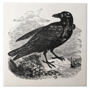Vintage Raven Black Bird Crow Personalized Birds Tile