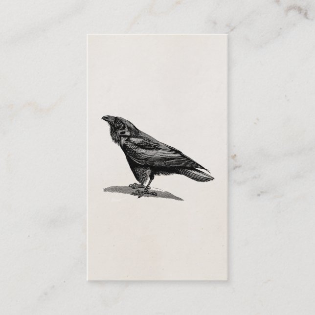 Vintage Raven Crow Blackbird Bird Illustration Business Card (Front)
