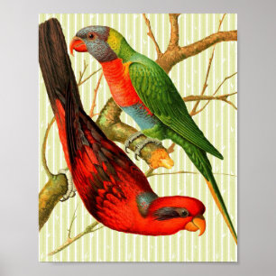 Vintage Red and Green Parrots on Bambo Background Poster