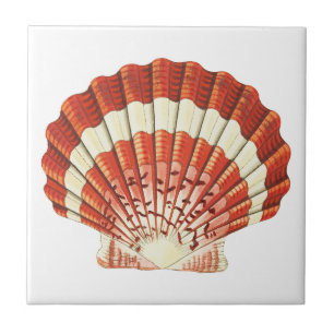 Vintage Red and Pale Yellow Scallop shell Acrylic  Tile