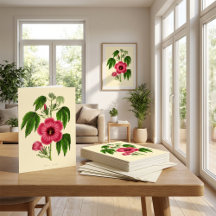 Vintage Red and Pink Floral Illustration