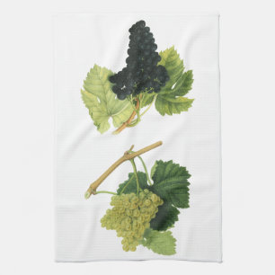 Vintage Red and White Wine Grapes on a Vine, Fruit Kitchen Towel