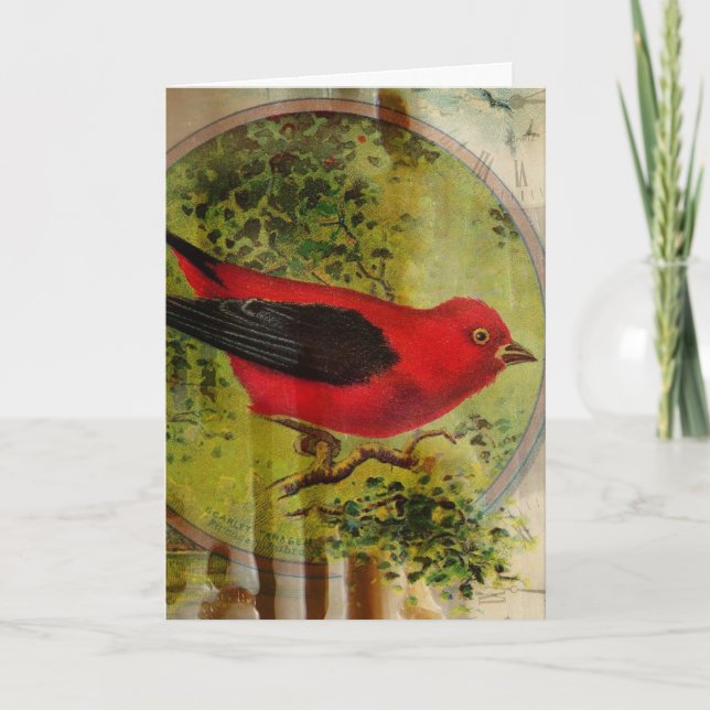 Vintage Red Bird Birthday Collage Card (Front)
