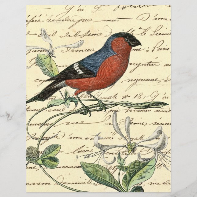 Vintage Red Blue Bird Ephemera Scrapbook Paper (Front)