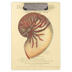Vintage Red Conch Shell Clipboard