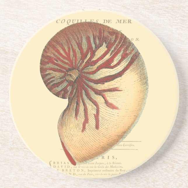 Vintage Red Conch Shell Coaster (Front)