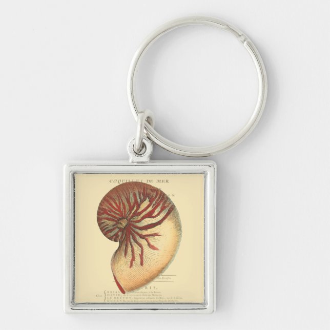 Vintage Red Conch Shell Keychain (Front)