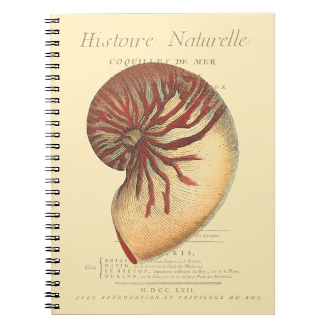 Vintage Red Conch Shell Notebook (Front)