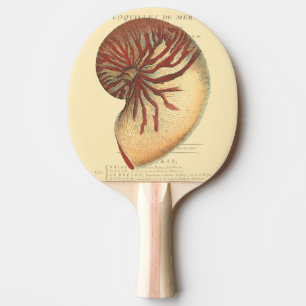 Vintage Red Conch Shell Ping Pong Paddle
