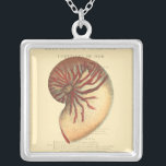 Vintage Red Conch Shell Silver Plated Necklace<br><div class="desc">In this vivid image,  you can see in vintage natural and unique style of the red Conch shell up close. This unique type of art has black and red shading to accent the spiralling of this conch shell. Get this conch shell with an sepia background on your product today.</div>