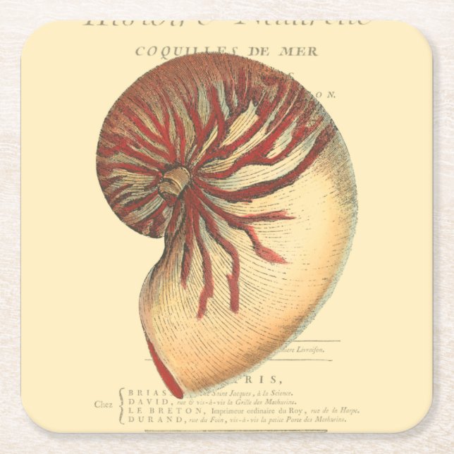 Vintage Red Conch Shell Square Paper Coaster (Front)