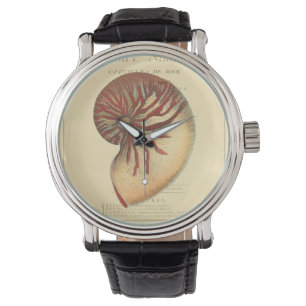 Vintage Red Conch Shell Watch