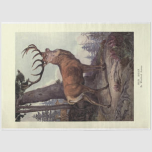 Vintage Red Deer Stag Ephemera Decoupage Tissue Paper
