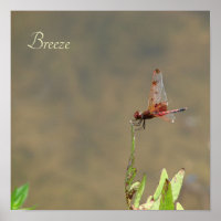 Vintage Red Dragonfly Botanical Fine Art Print