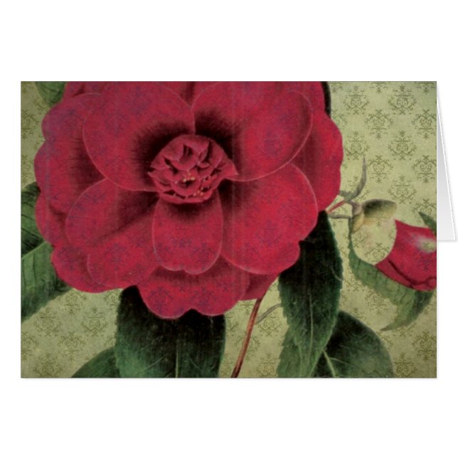 Vintage Red Flower (Front Horizontal)