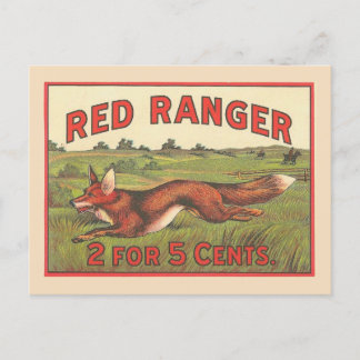 Vintage Red Fox Postcard