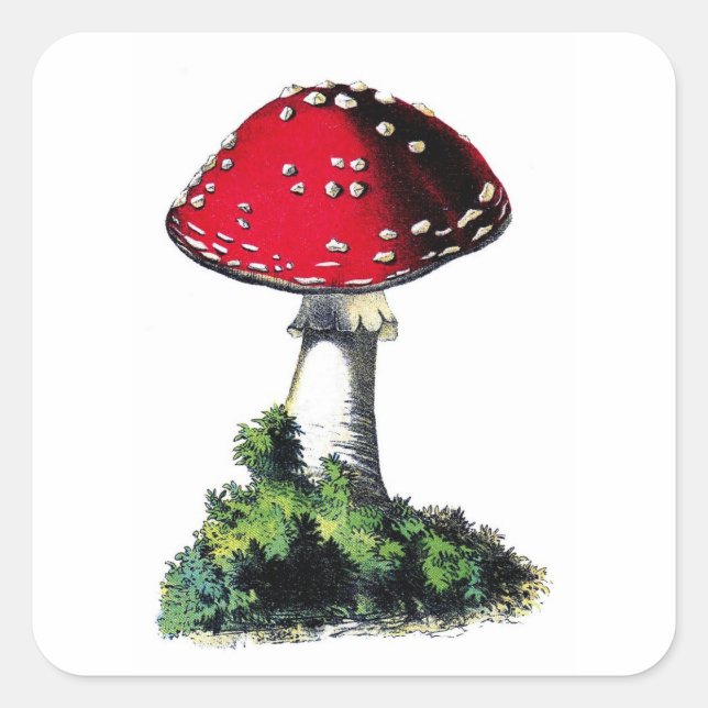 Vintage Red Mushroom  Print Square Sticker (Front)