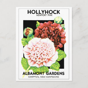 Vintage Red & Pink Ruffled Hollyhock Seed Packet Postcard