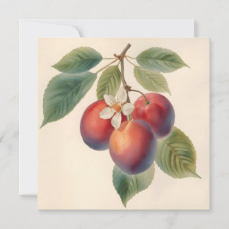 Vintage Red Plum Fruit Branch with Plum Blossom  Card
