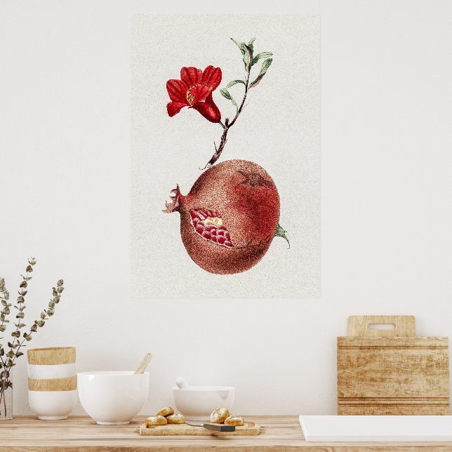 Vintage Red Pomegranate Fruit And Flower Art Poster (Kitchen)
