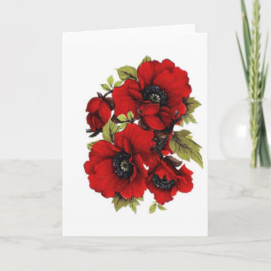 Vintage Red Poppies Card