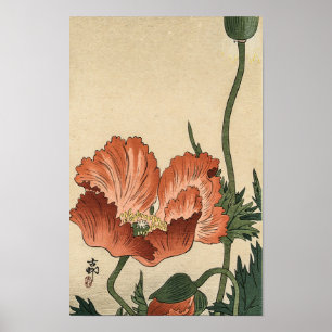 Vintage Red Poppy Flower by Ohara Koson Poster