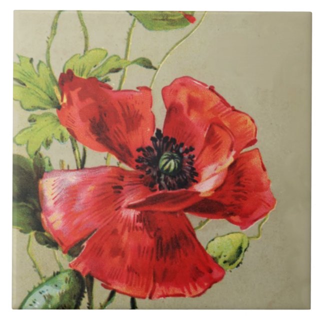 VINTAGE RED POPPY FLOWER TILE (Front)